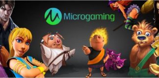 Microgaming Partnering with Rootz Ltd to Offer Its Games at Wildz Casino